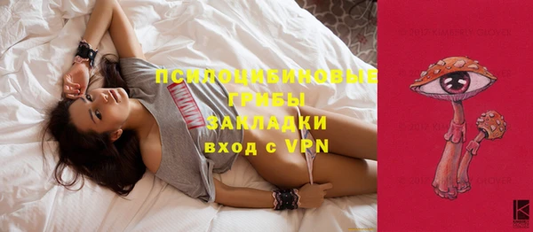 прущая мука Гусев