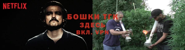 прущая мука Гусев